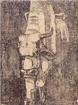 이중섭, 서 있는 소, 유채로 여겨지나 바탕재료와 크기 모름, 1940년으로 추정, 조선일보, 1940. 6. 22 신문의 원본은 현재 삼성미술관 소장. 그 이전에 이 자료를 알려주고 촬영하도록 해주신 고 이구열 선생님께 다시금 감사드린다.
