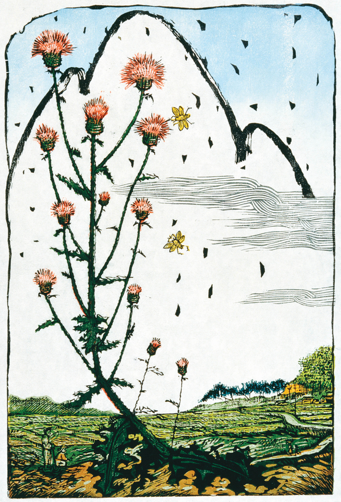 엉겅퀴, 실크스크린, 36×55㎝