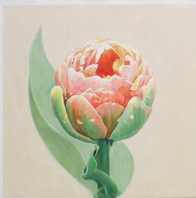 튤립, 2023, 캔버스 유채, 50*50cm