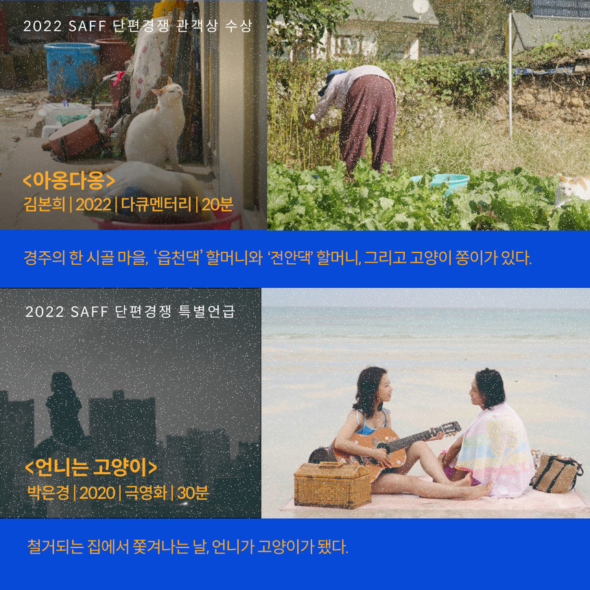 영화로 만나는 동물권, 서울동물영화제X인디스페이스 ‘월간 동물영화’ 정기 상영